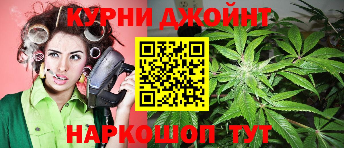 Канабис сатива  Конопля марихуана  Сокол  Каннабис Ganja  Вход с VPN  Бошки марихуана сатива 